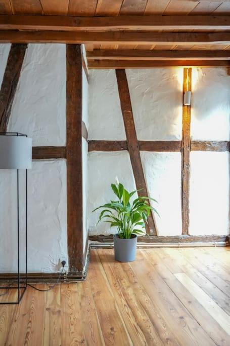 Charmante Fachwerk Wohnung Mit Terrasse In Der Altstadt Кобленц Экстерьер фото
